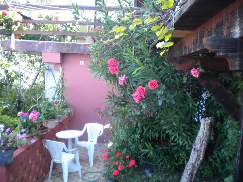 Cinqueterre Holidays Gasthuis 3*