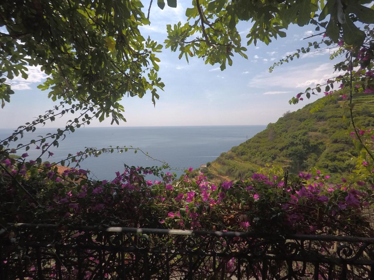 Cinqueterre Holidays 3* Riomaggiore