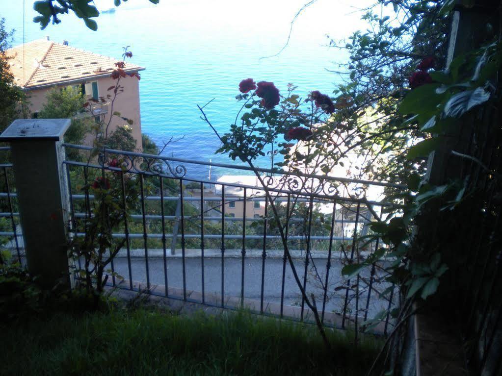 Cinqueterre Holidays 3* Riomaggiore